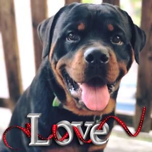 Meet your Posher, Juan